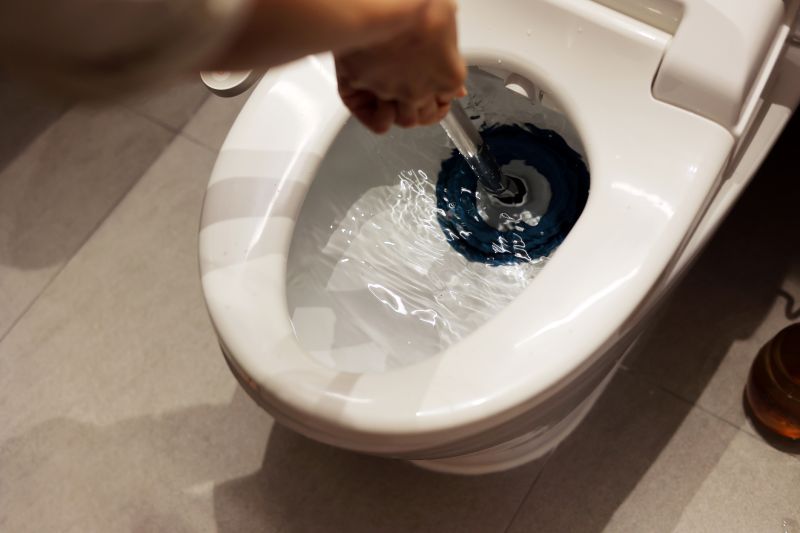 Backed Up Toilet Repair in Denver, CO