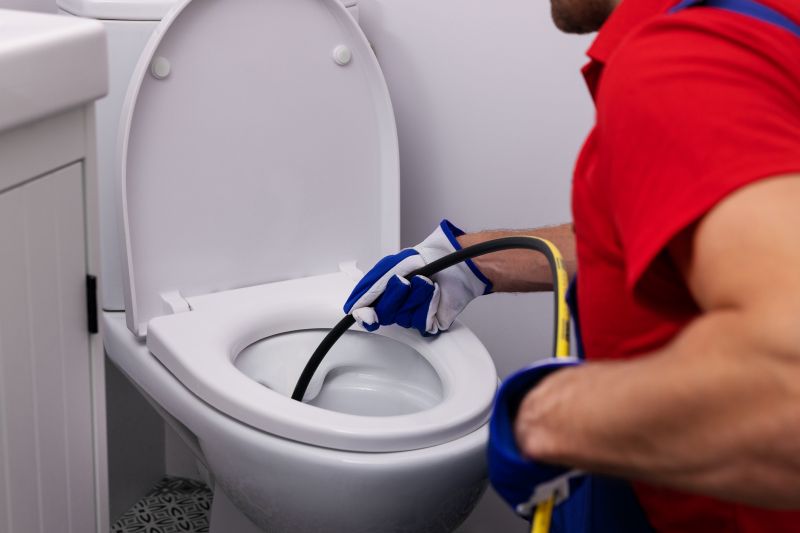 Backed Up Toilet Repair in Denver, CO